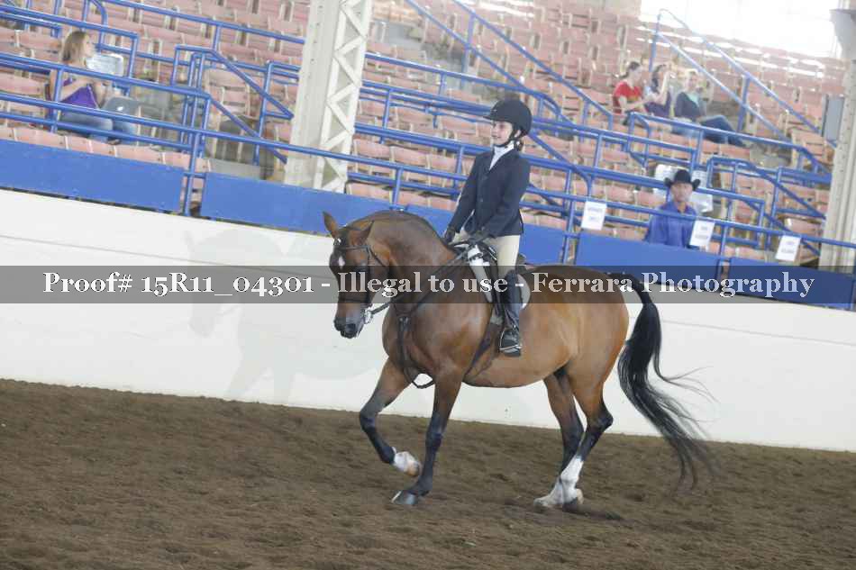 Proof 15R11_04301