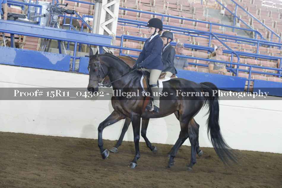 Proof 15R11_04302