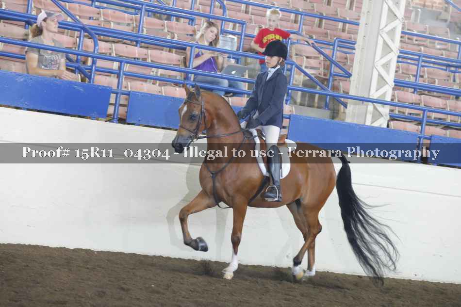 Proof 15R11_04304