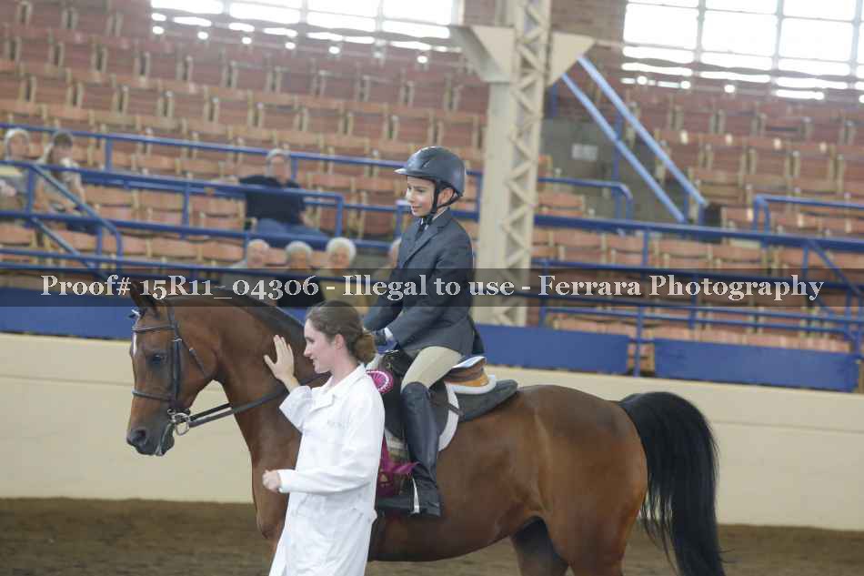 Proof 15R11_04306