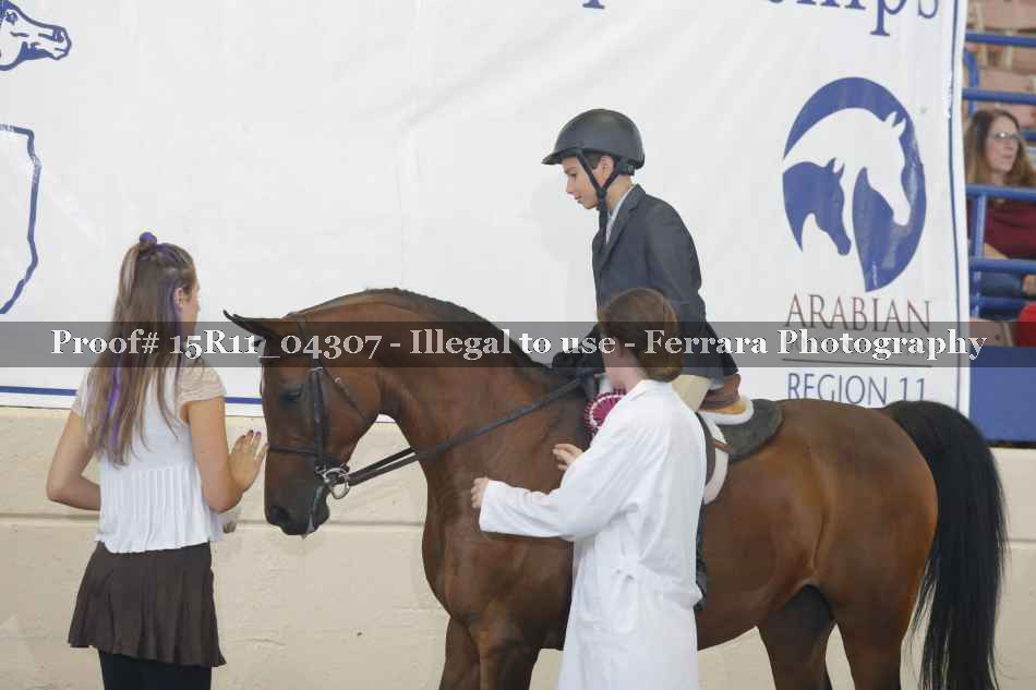Proof 15R11_04307