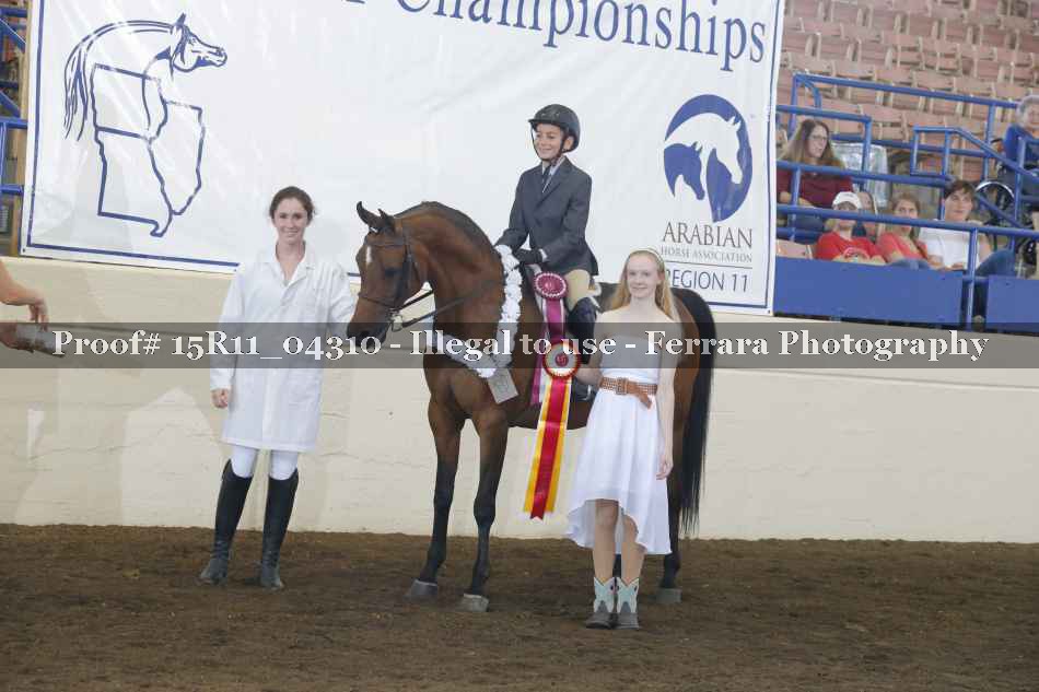 Proof 15R11_04310