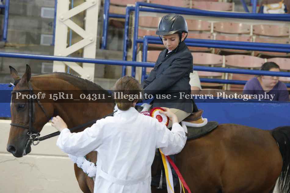 Proof 15R11_04311