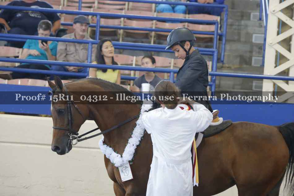Proof 15R11_04312