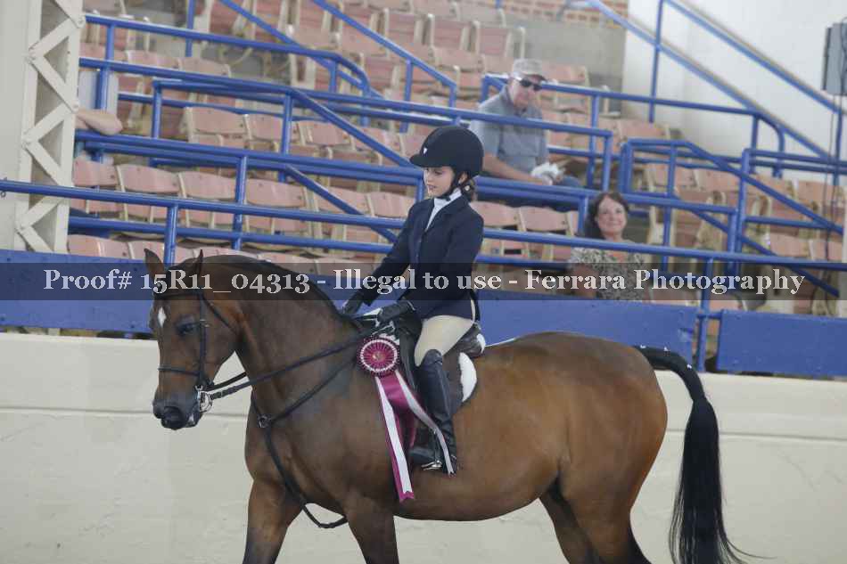 Proof 15R11_04313