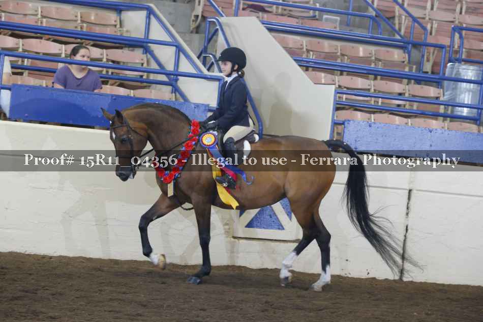 Proof 15R11_04356