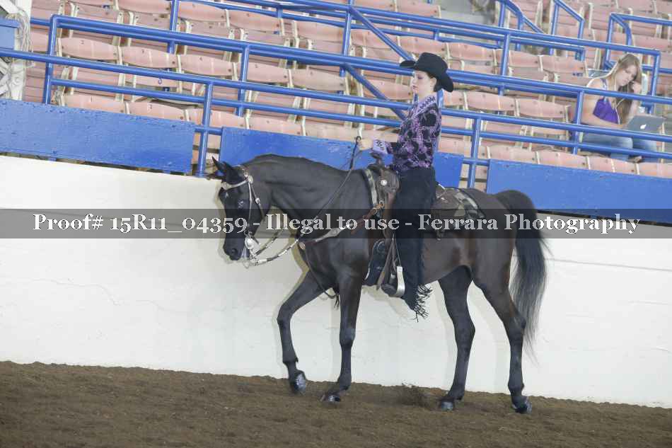 Proof 15R11_04359