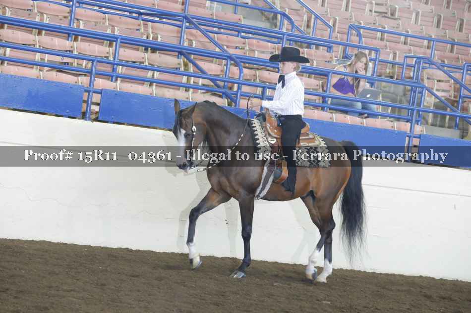 Proof 15R11_04361