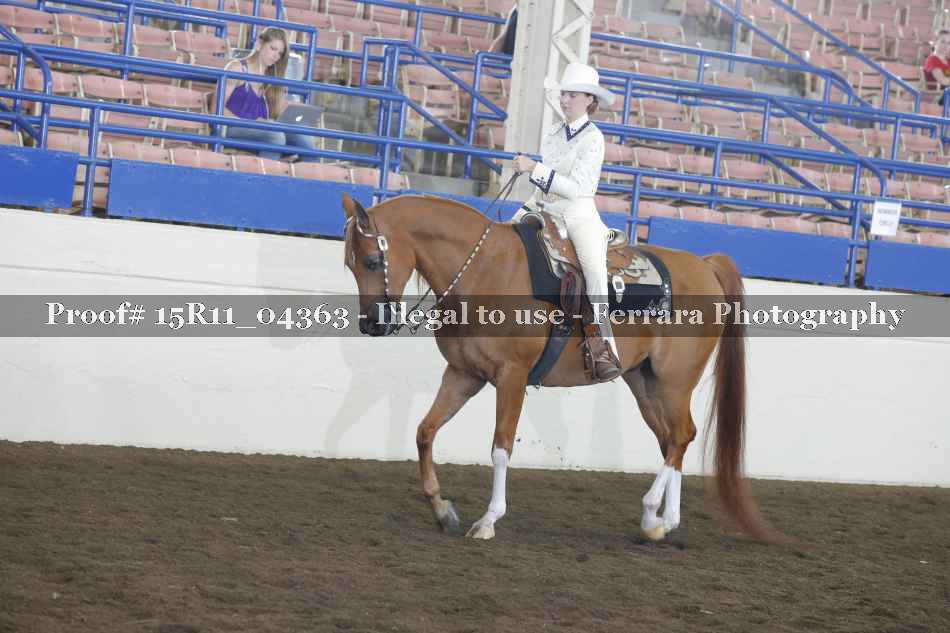 Proof 15R11_04363