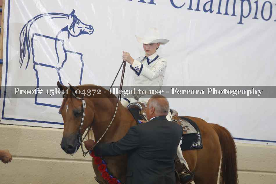 Proof 15R11_04372