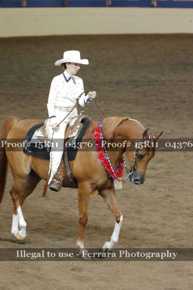 Proof 15R11_04376