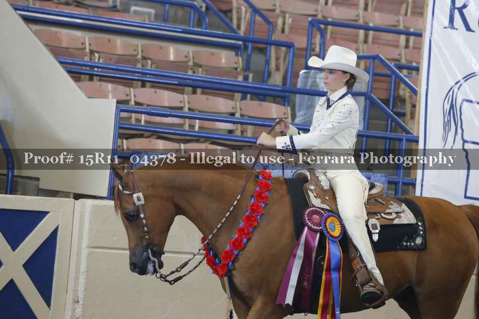 Proof 15R11_04378