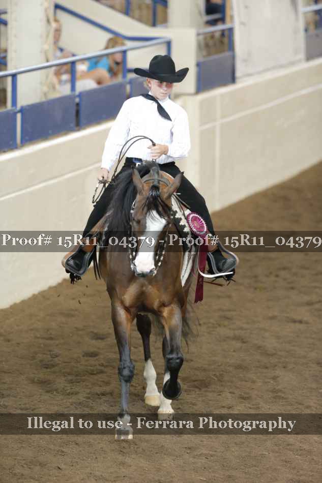 Proof 15R11_04379