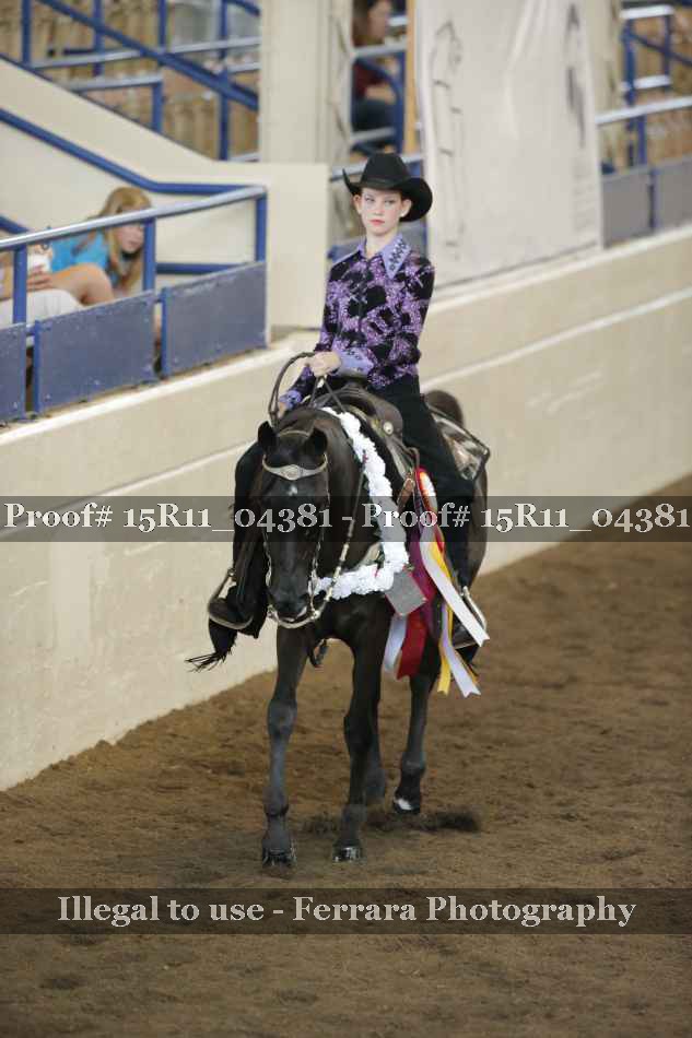 Proof 15R11_04381