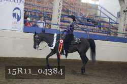 15R11_04384 proof
