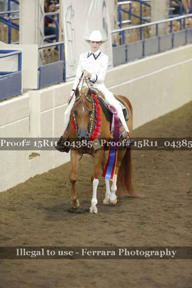Proof 15R11_04385