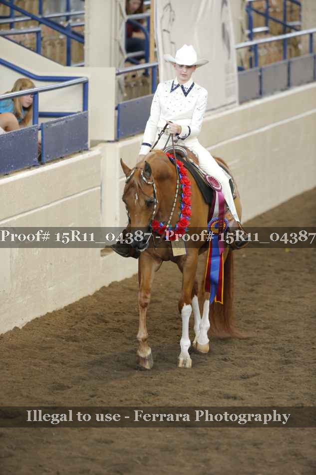 Proof 15R11_04387