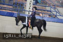 15R11_04389 proof