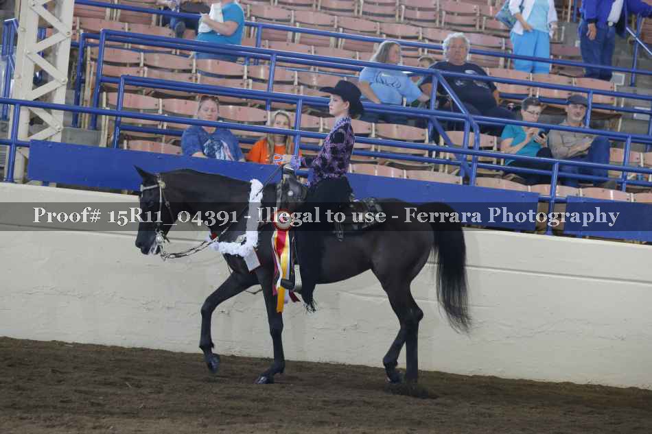 Proof 15R11_04391