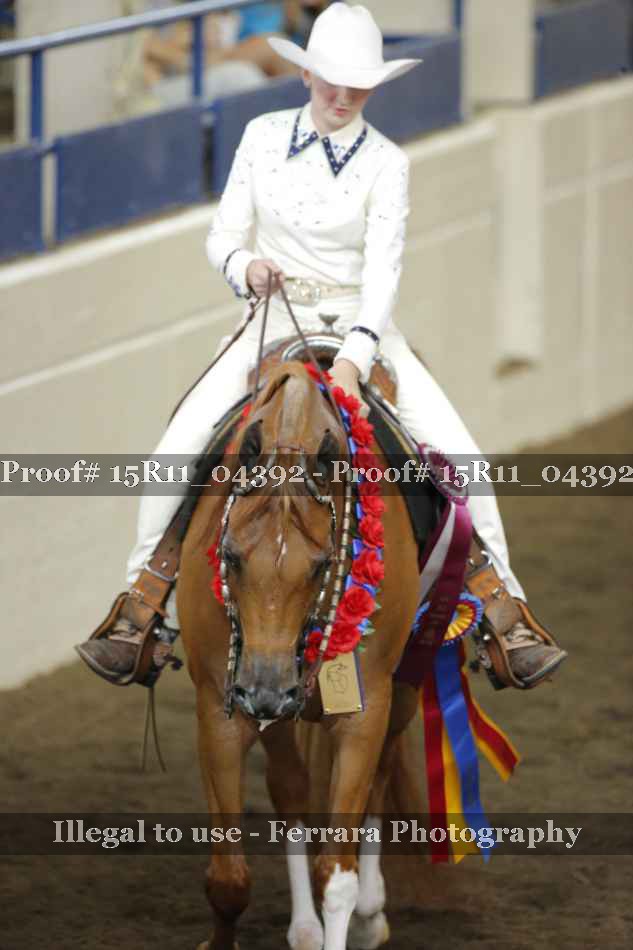 Proof 15R11_04392