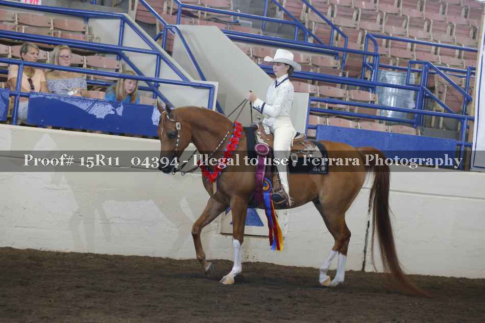Proof 15R11_04394