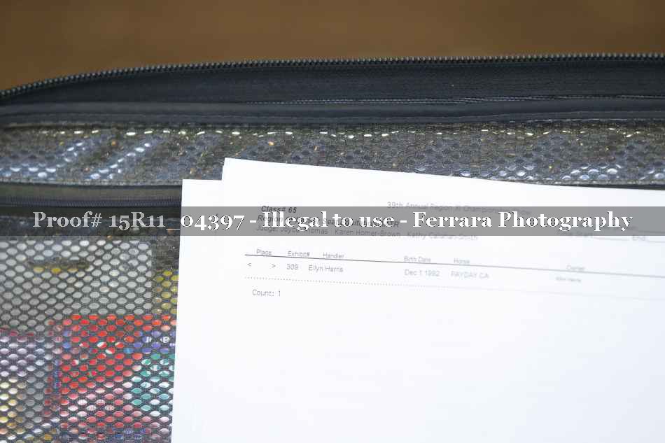 Proof 15R11_04397