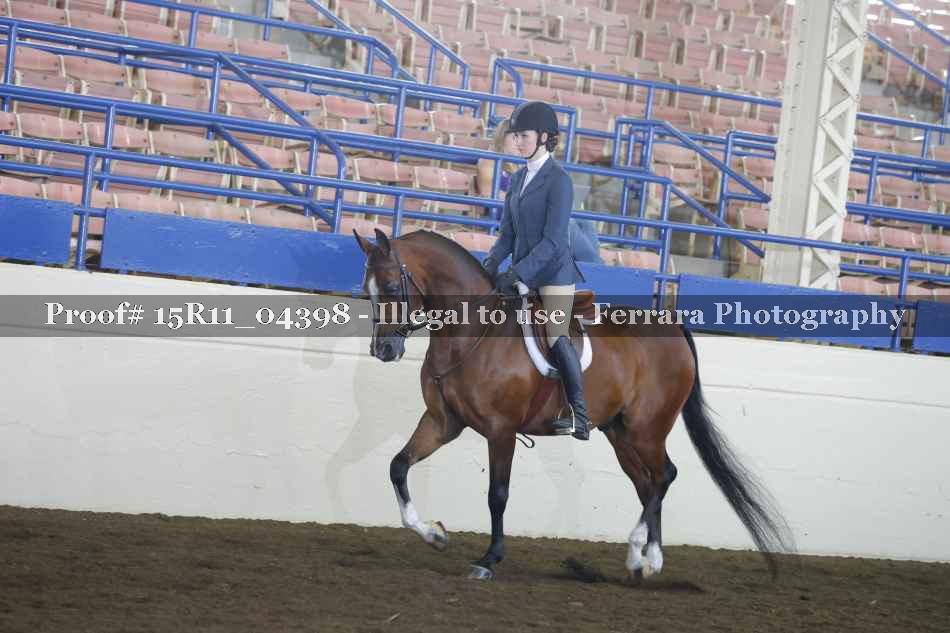 Proof 15R11_04398
