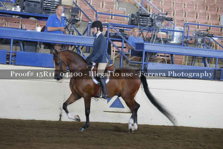Proof 15R11_04400