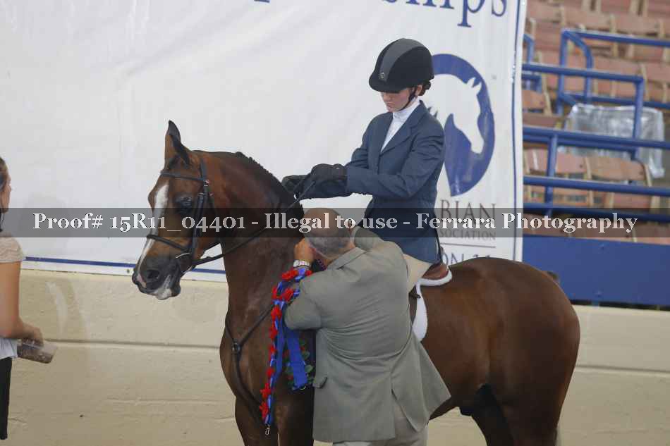 Proof 15R11_04401