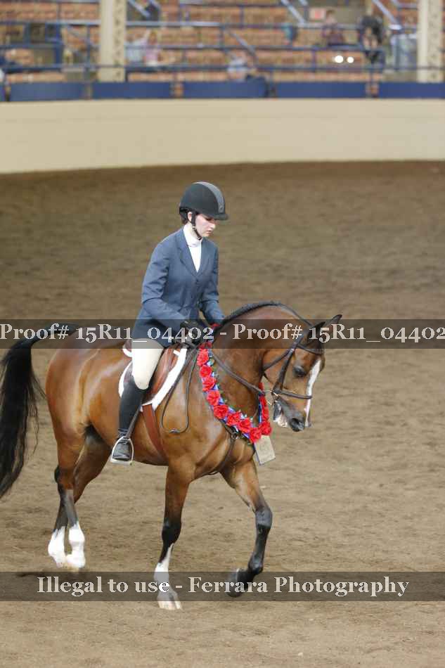 Proof 15R11_04402