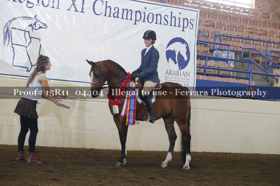 Proof 15R11_04404