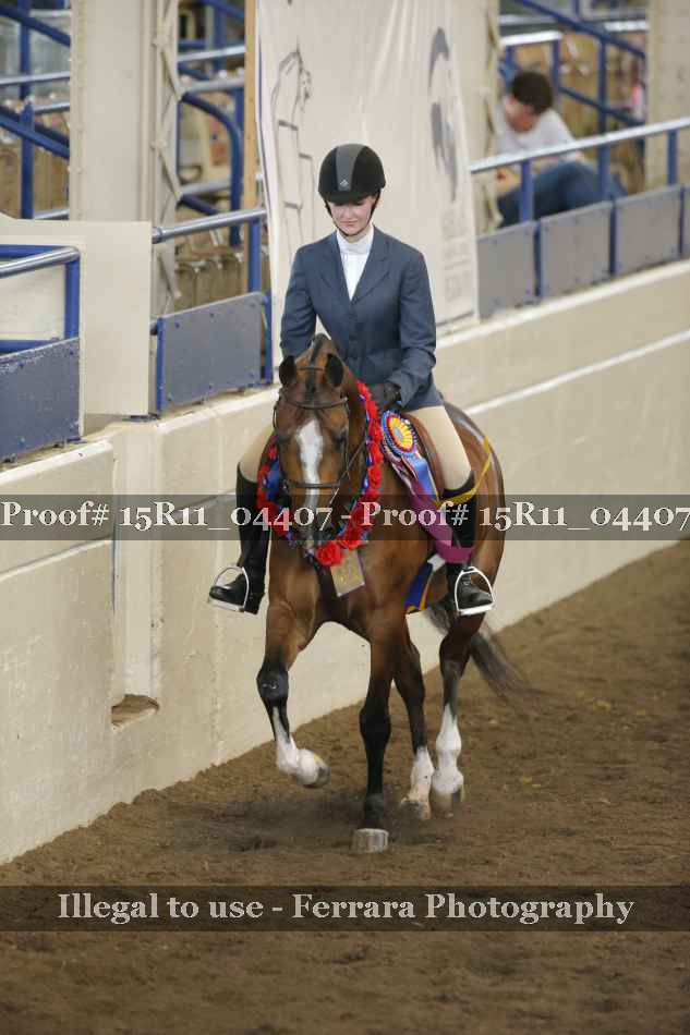 Proof 15R11_04407