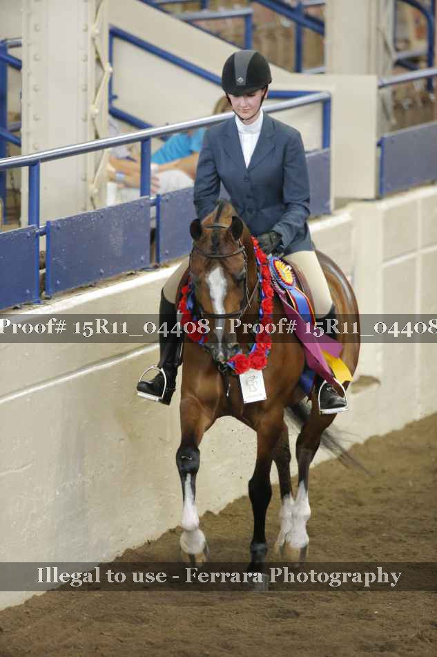 Proof 15R11_04408