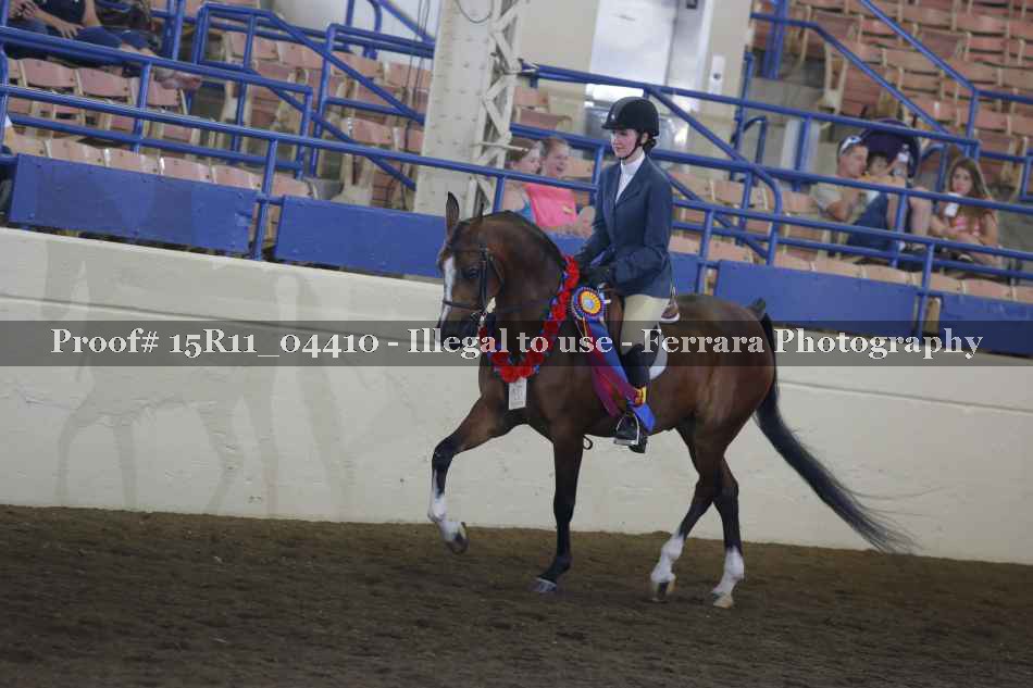 Proof 15R11_04410