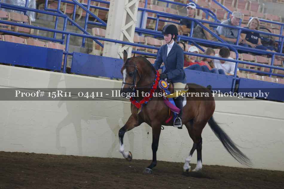 Proof 15R11_04411