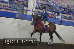 15R11_04411 proof