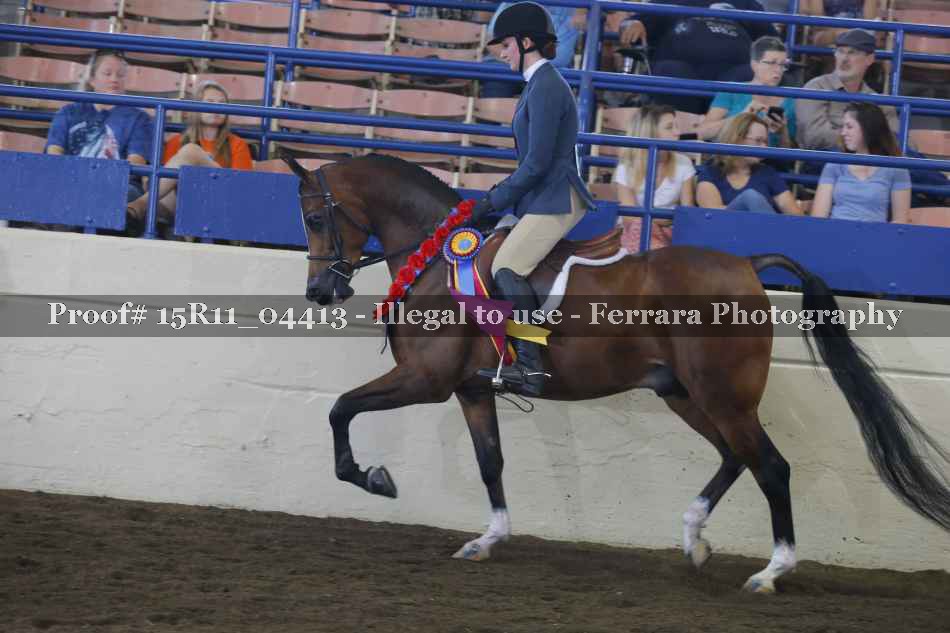 Proof 15R11_04413