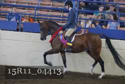 15R11_04413 proof