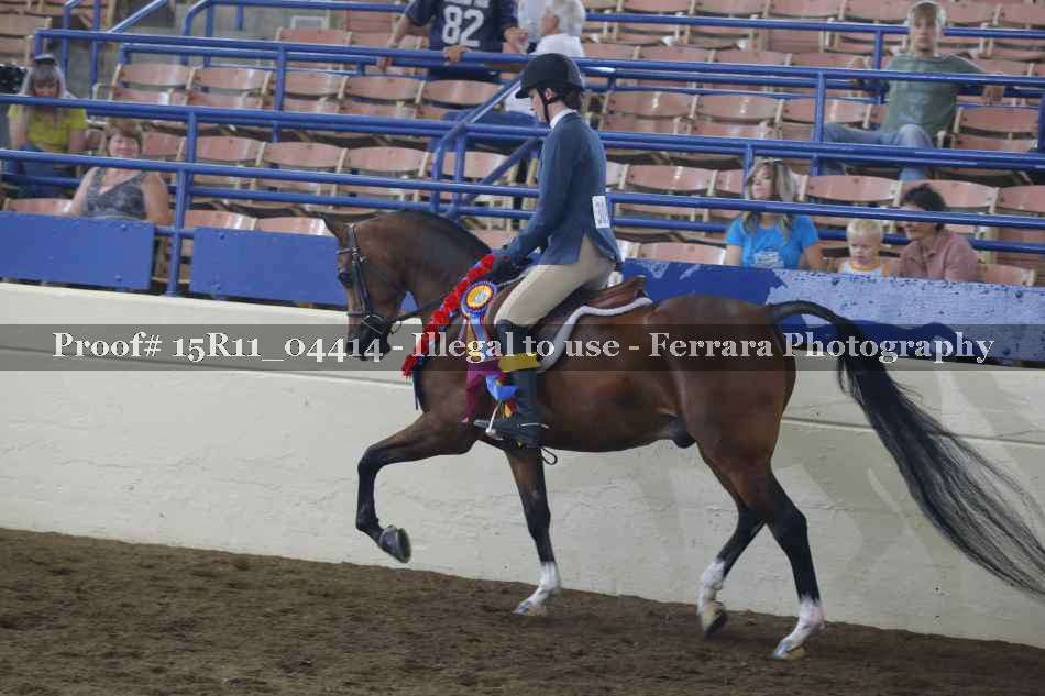 Proof 15R11_04414