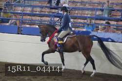 15R11_04414 proof