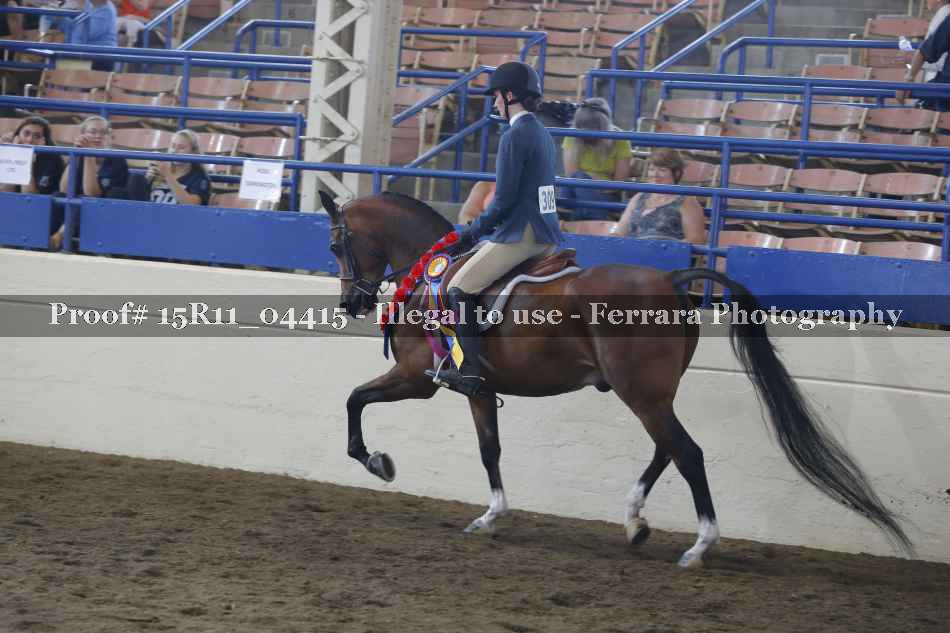 Proof 15R11_04415