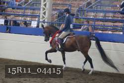 15R11_04415 proof
