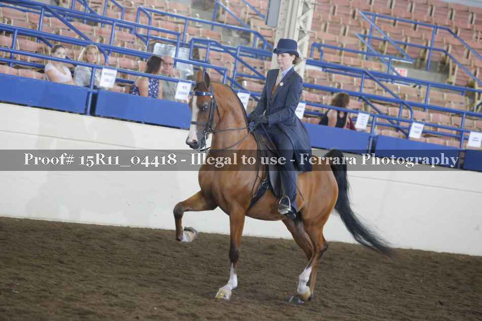 Proof 15R11_04418