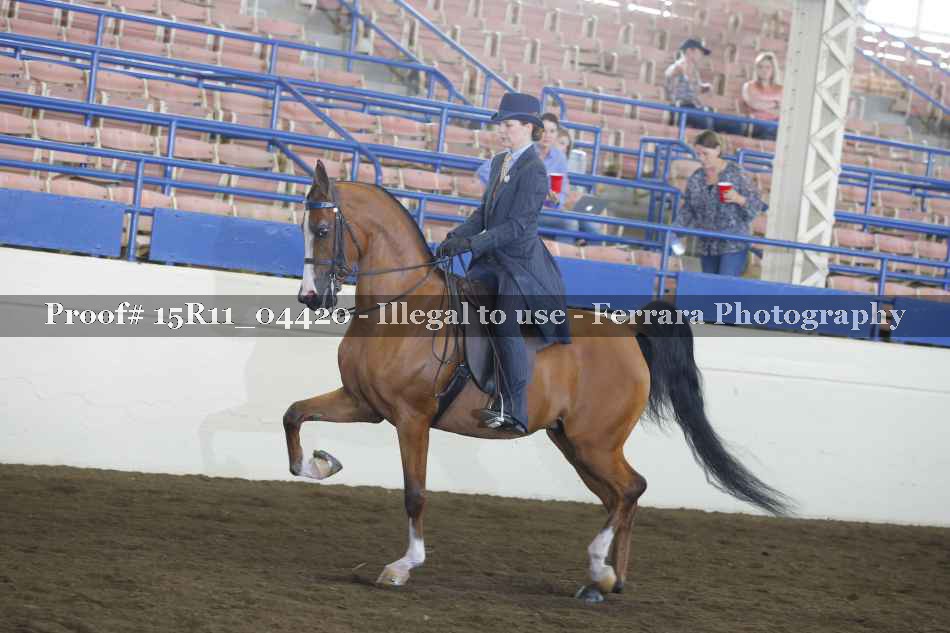 Proof 15R11_04420