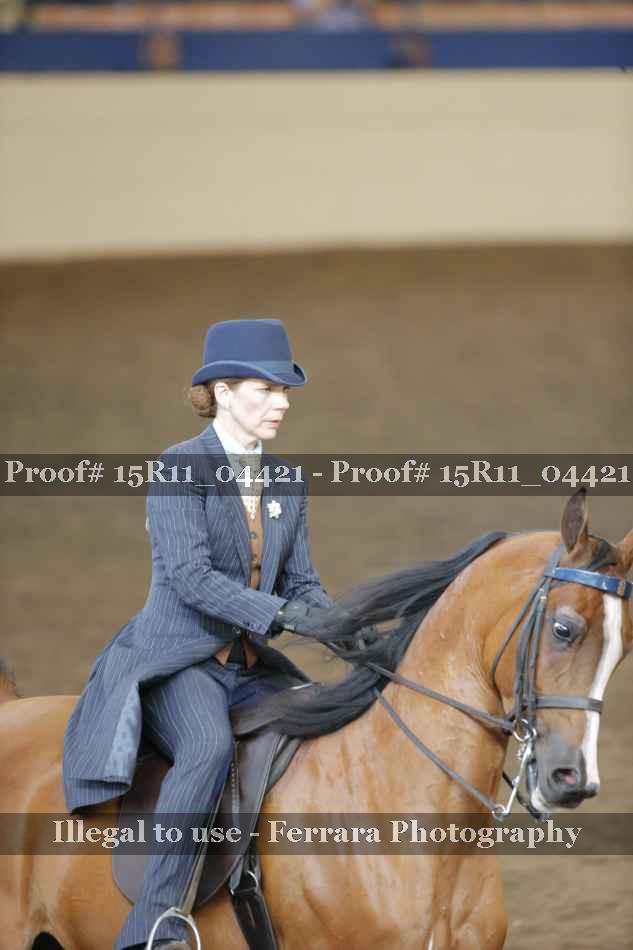 Proof 15R11_04421