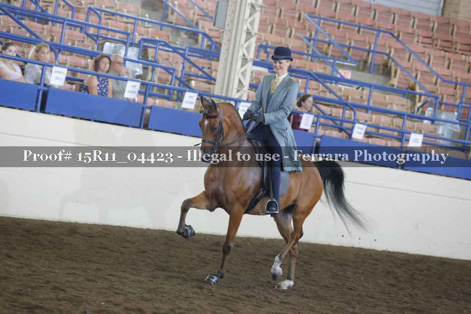 Proof 15R11_04423