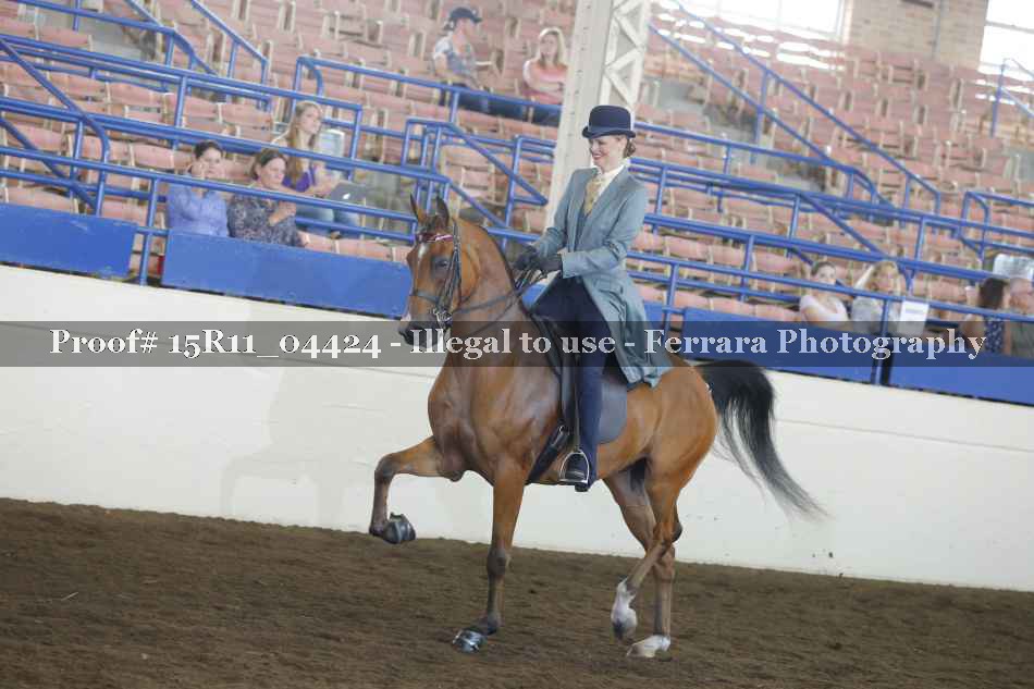Proof 15R11_04424