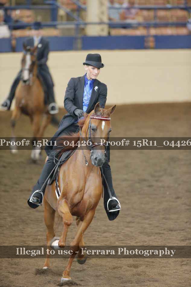 Proof 15R11_04426