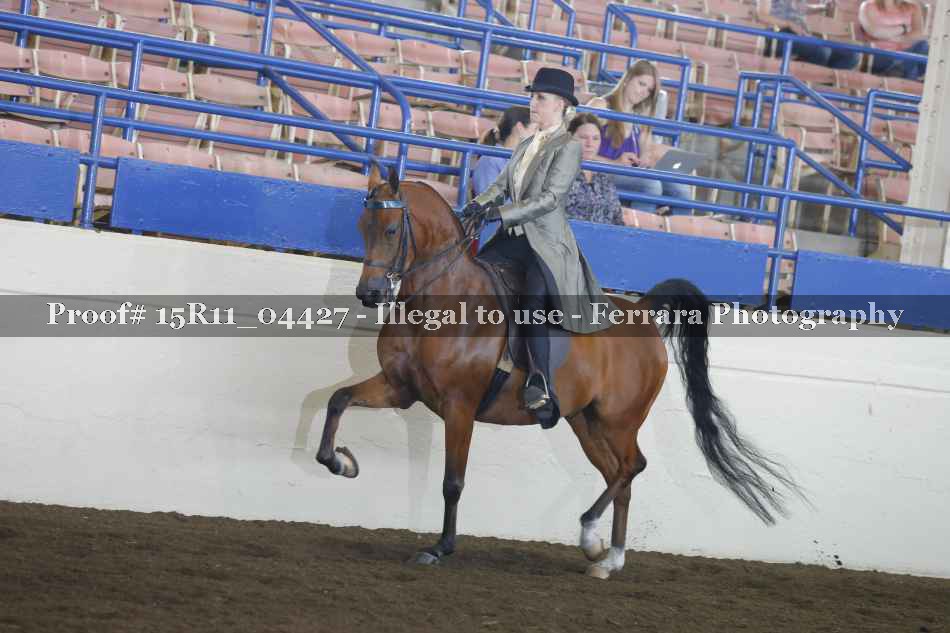 Proof 15R11_04427