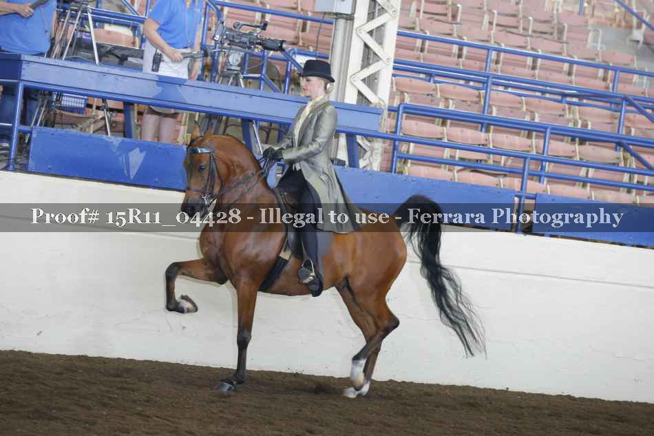 Proof 15R11_04428
